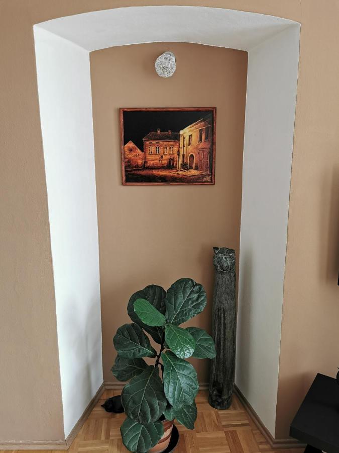 Apartmán Antonínská Znojmo Kültér fotó